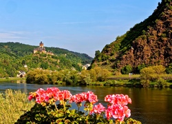 Zamek Reichsburg, Miasto Cochem, Niemcy, Rzeka Mozela, Góry, Lasy,  Pelargonie