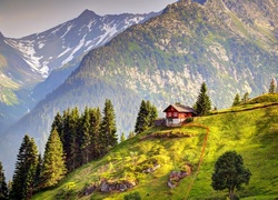 Szwajcaria, Góry Alpy, Dom