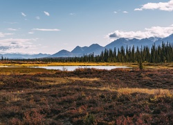 Góry, Jezioro, Lasy, Alaska