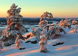 Zima, Ośnieżone Drzewa, Krajobraz, Zachód Słońca