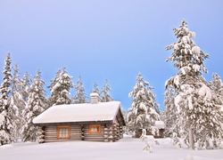 Zima, Dom, Ośnieżone, Drzewa, Śnieg