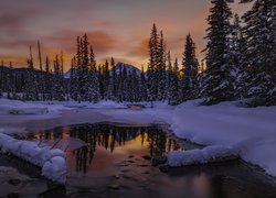 Kanada, Park Narodowy Banff, Zima, Las, Rzeka, Zachód Słońca