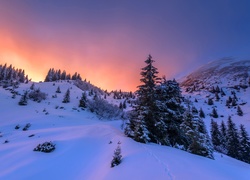Zima, Góry, Drzewa, Zachód Słońca, Śnieg
