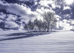 Zima, Drzewa, Chmury, Śnieg