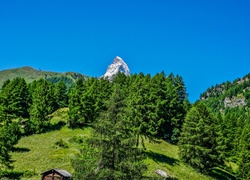 Góry, Las, Łąka, Szopy, Szczyt, Matterhorn, Szwajcaria