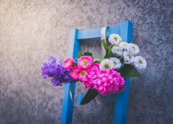 Kwiaty, Hiacynty, Stokrotki