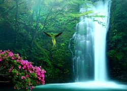 Las, Wodospad, Kwiaty, Papuga