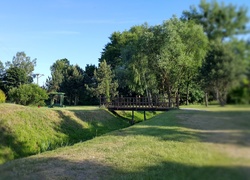 Park, Mostek, Drzewa, Rzeczka