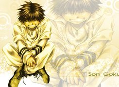 Saiyuki, son goku, gold