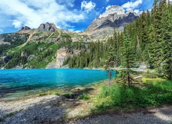 Kanada, Park Narodowy Yoho, Jezioro OHara, Góry, Drzewa