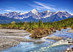 Góry, Las, Rzeka, Kamienie, Kanada