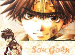 Saiyuki, son, gazetowa