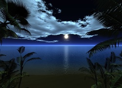 Plaża, Palmy, Ocean, Księżyc, Noc