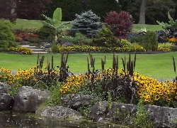 Parki, Kwiaty, Staw, Drzewa, Ontario, Kanada