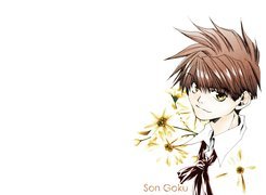 Saiyuki, chłopak, kwiatki