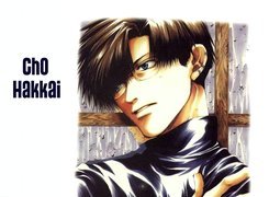 Saiyuki, cho, hakkai, facet