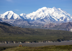 Stany Zjednoczone, Stan Alaska, Park Narodowy Denali, Kordyliery,  Niedźwiedzie, Góry Alaska, Szczyt Denali, Mount McKinley
