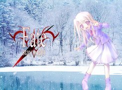 Fate Stay Night, dziewczyna, zima, napisy, drzewa