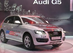 Audi Q5, Mileage, Marathon