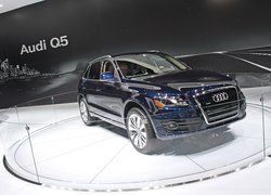 Audi Q5, Wystawa, Prezentacja