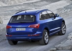 Audi Q5, Antena