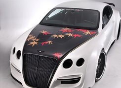 Bentley Continental, Tuning