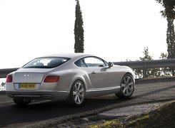 Bentley Continental GT, Przetłoczenia, Boczne