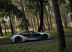 BMW Vision, Prawa, Strona