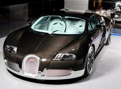 Bugatti Veyron, Karbon