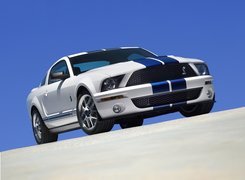 Pakiet, Shelby, Ford Mustang, GT500