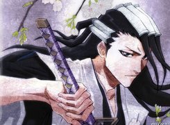 Kuchiki Byakuya, Kapitan