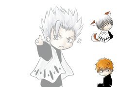 Hitsugaya, Kurosaki, Gin, Postacie