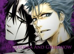 Grimmjow, Ulquiora, Bleach