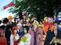 Bohaterowie, Bleach