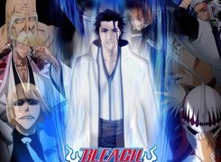 Vizard, Aizen, Shinigami