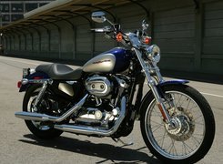 Harley Davidson Sportster XL1200C, Bak, Paliwa