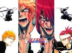 Bleach, Kurosaki, Renji, Walka