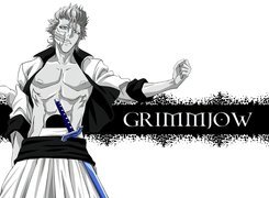 Grimmjow, Espada, Numer 6