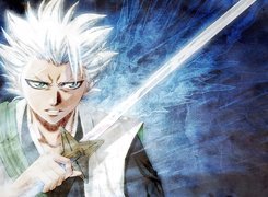 Hitsugaya, Toshiro, Katana