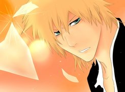 Ichigo, Kurosaki, Bleach