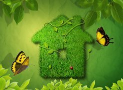 Zielony, Domek, Trawa, Motyle