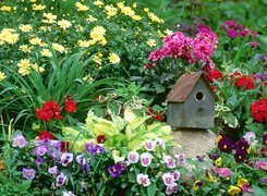 Ogród, Różne, Kolorowe, Kwiatki, Budka