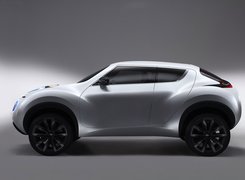 Nissan Qazana, Concept, Car