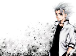 Hitsugaya, Toshiro, Kapitan