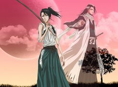 Kuchiki, Byakuya, Kapitan