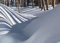 Zimowe, Zaspy, Śnieżne, Drzewa