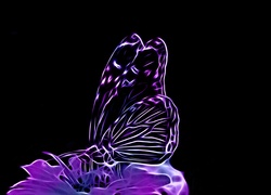 Fioletowy, Motyl, Kwiat