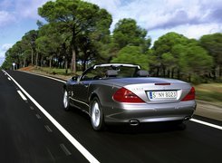 SL 500