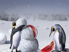 Pingwiny, Arbuzy, Bałwan
