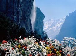 Kwiaty, Góry, Wodospad